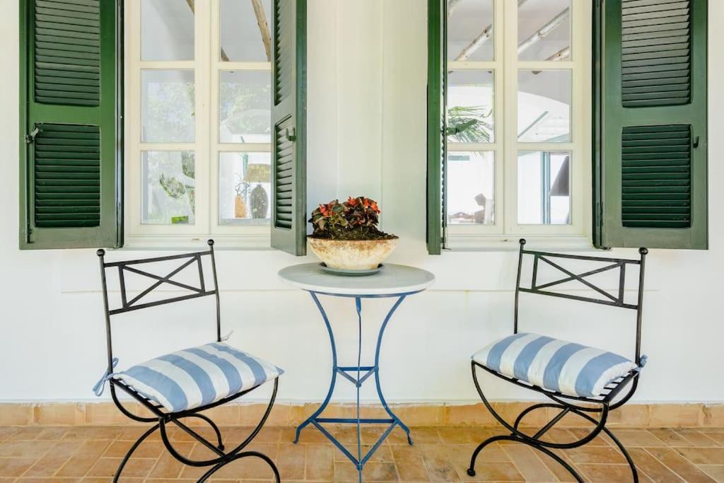 Vilă Olivos V.i.p Poolvilla Kritinia
